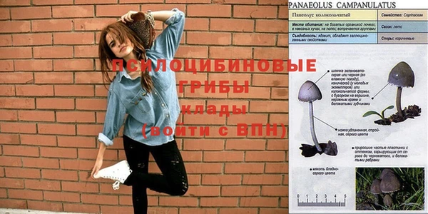 mdpv Абинск