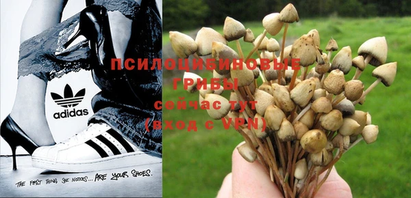 mdpv Абинск